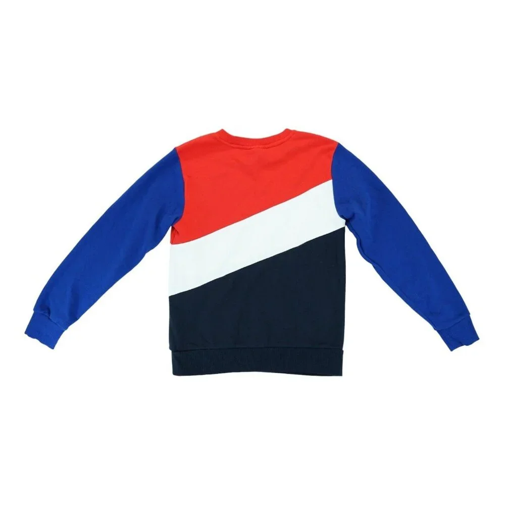 Reebok this sweatshirt